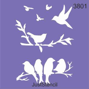Birds