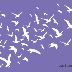 Birds