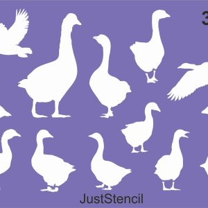 Geese