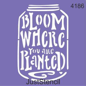 Bloom
