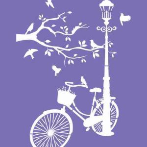 Bike and Birds