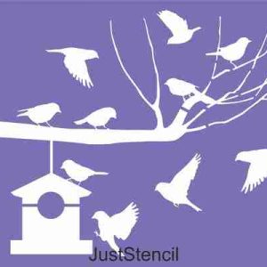 Birds