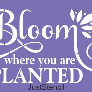 Bloom